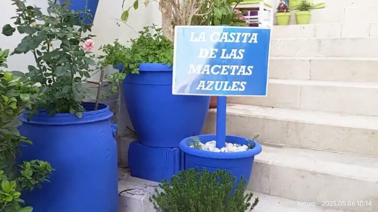 La increíble casita de las macetas azules: un paraíso en Alicante