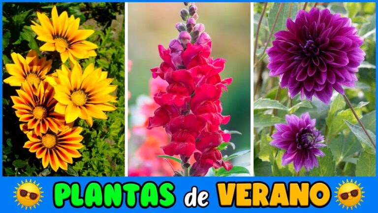 Descubre las flores resistentes al calor para llenar tu jardín de color