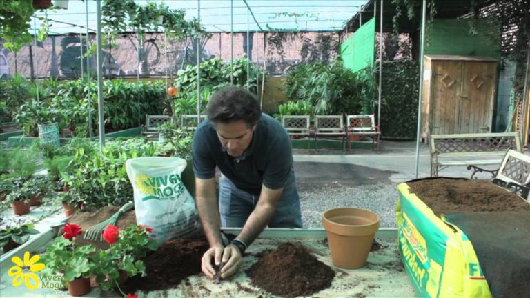Descubre los increíbles beneficios de mezclar tierra y sustrato para tus plantas