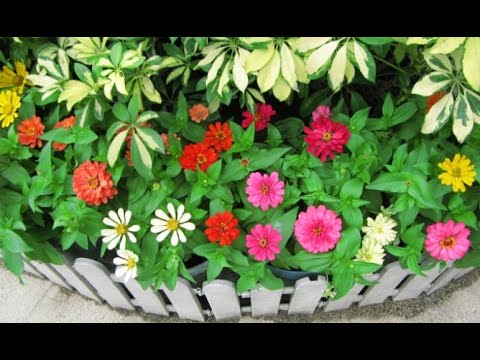Descubre el encanto de las flores de hoja perenne: belleza eterna en tu jardín